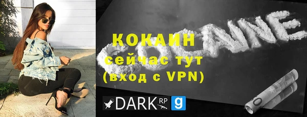 a pvp Пересвет
