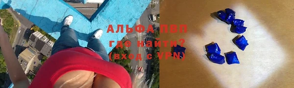 a pvp Пересвет