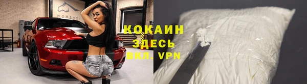 крисы Пестово