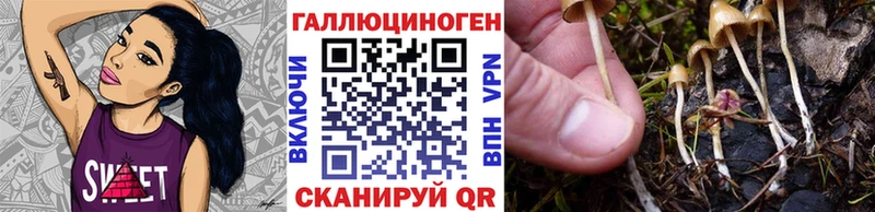 МЕГА рабочий сайт  Красноуфимск  Галлюциногенные грибы прущие грибы 